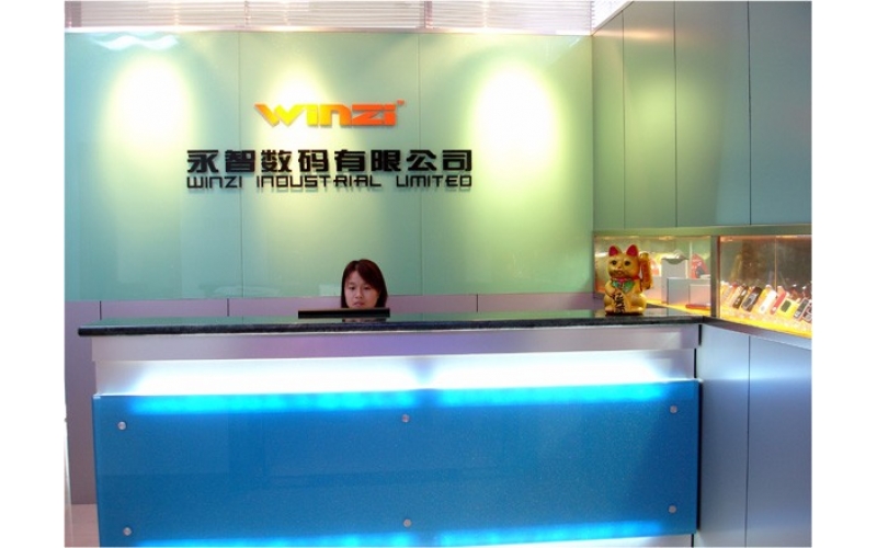 公司組織結(jié)構(gòu)圖，深圳市模具廠的最初結(jié)構(gòu)