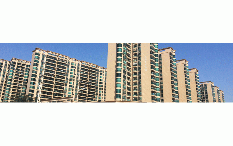 深圳的冬天終于來了，2015